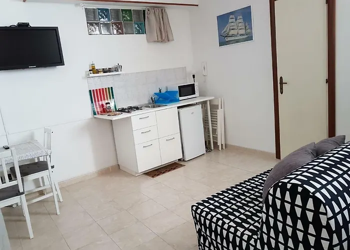 Apartament Vincent's